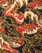 Close-up of a vibrant dragon pattern on fabric with red, gold, and black colors.