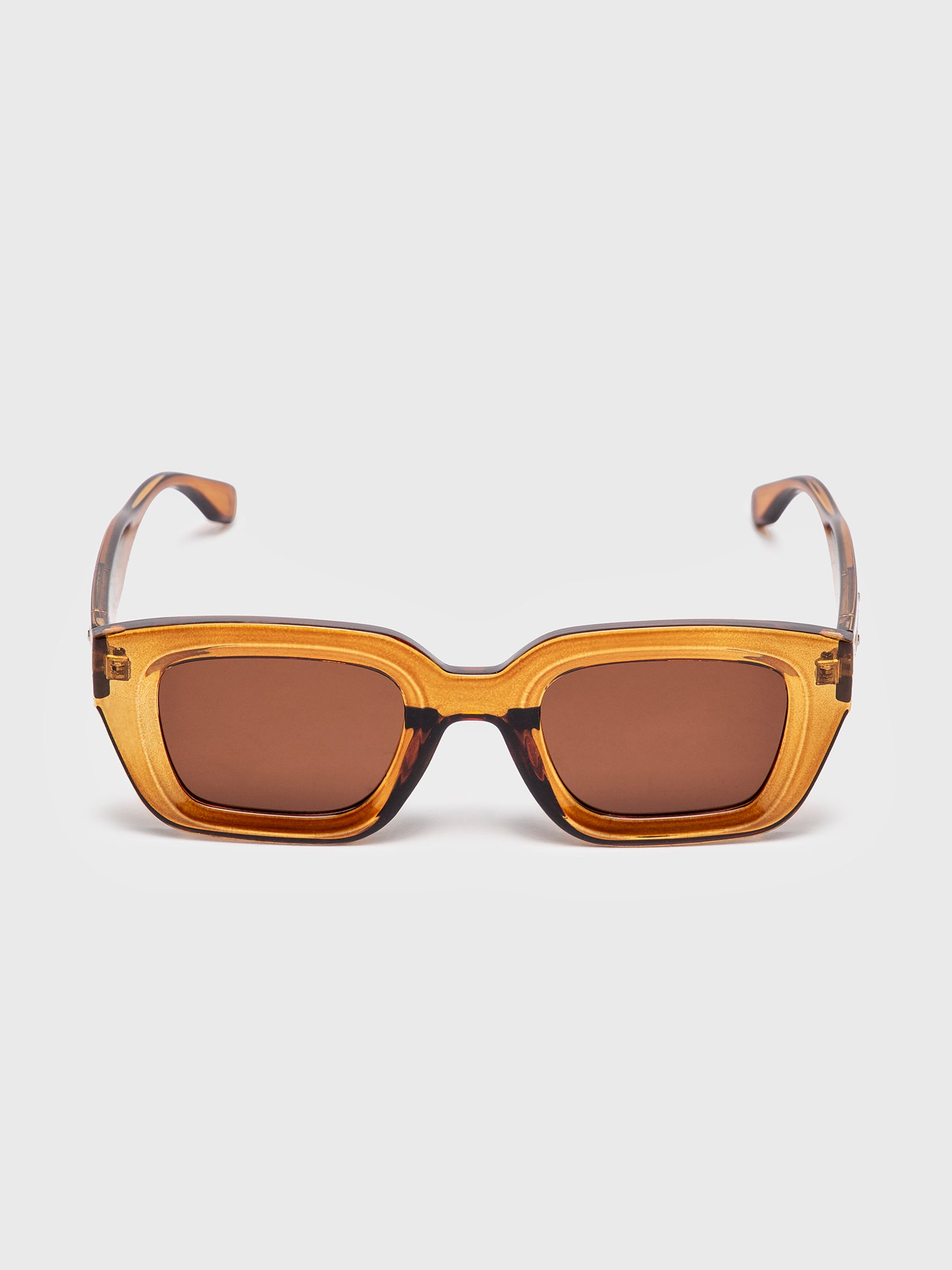 sunglasses / Brown Bold Sunglasses