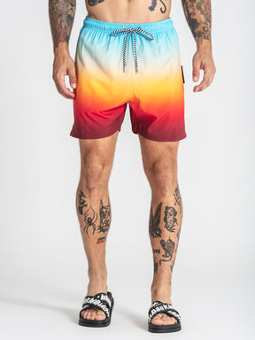 swimshorts / Multicolor Oasis Swimshorts