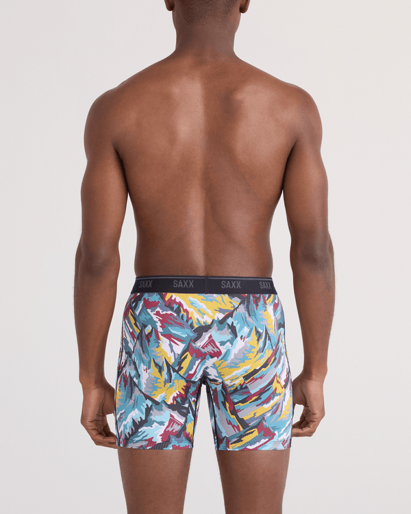 Back - Model wearing  Quest Quick-Dry Mesh Boxer Brief Fly in Prism Peaks-Multi