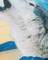 Close-up of a fluffy white animal on a colorful background