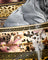 Decorative design with leopard print and gold accents, featuring a cat design.