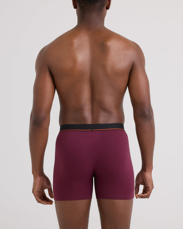 Back - Model wearing Non-Stop Stretch Cotton Boxer Brief 3 Pack in Maroon/Storm Blue/Ashley Blue