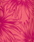 Close-up of pink floral pattern on a pink background