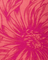 Close-up of pink floral patterned fabric